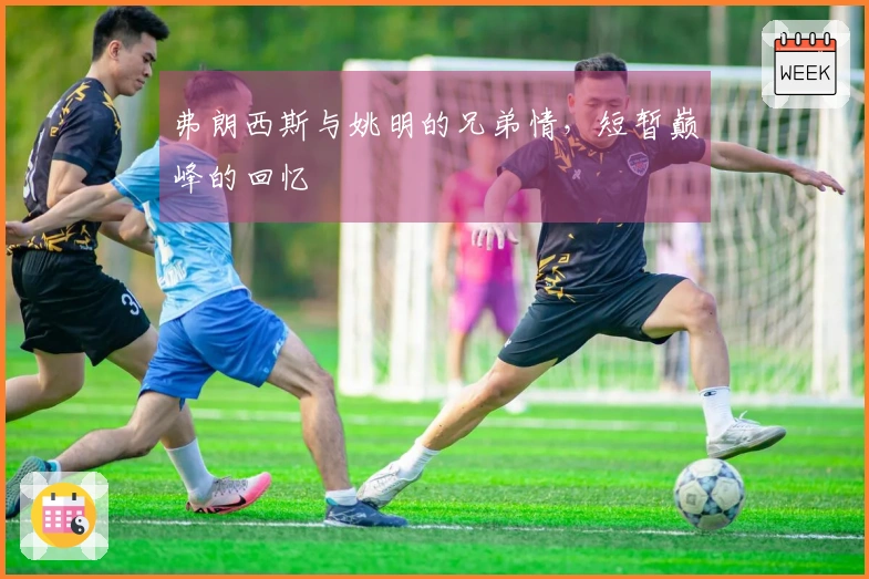 弗朗西斯与姚明的兄弟情，短暂巅峰的回忆