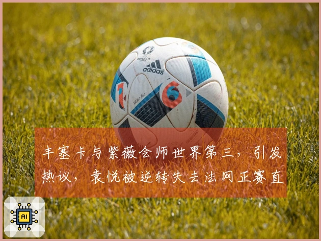 丰塞卡与紫薇会师世界第三，引发热议，袁悦被逆转失去法网正赛直通名额