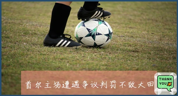 首尔主场遭遇争议判罚不敌大田