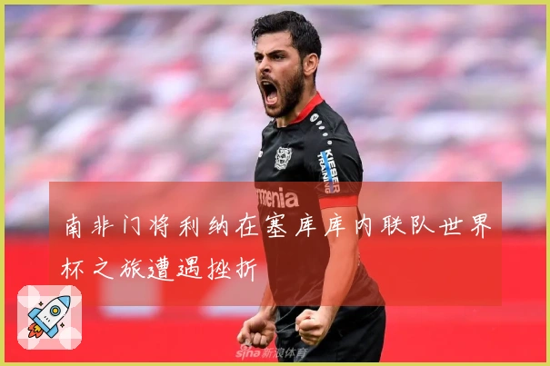 南非门将利纳在塞库库内联队世界杯之旅遭遇挫折